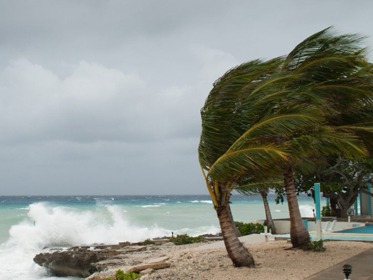 crimsafe and hurricane protection