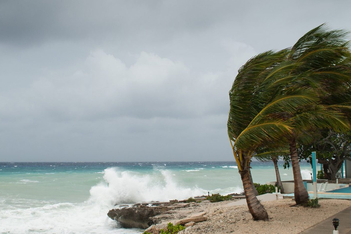 Crimsafe and hurricane protection